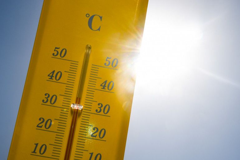 Vigilance canicule